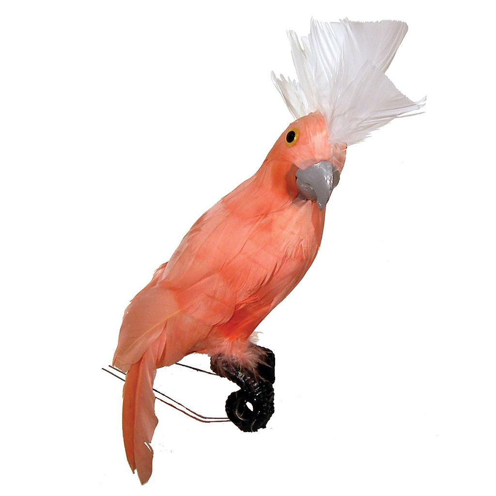 COCKATOO 10" FEATHERED PINK W/WHITE COMB