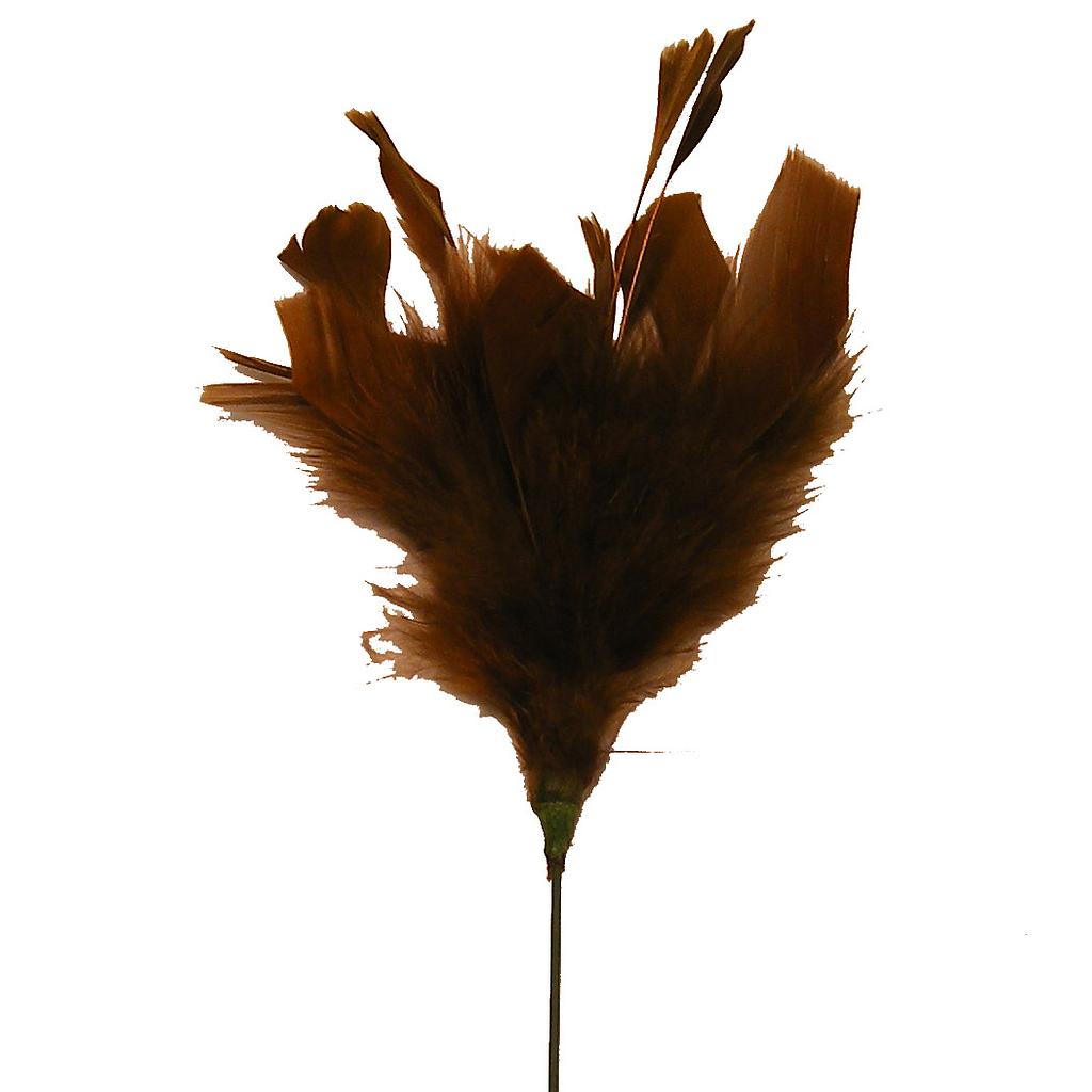 9" FUZZY FEATHER W/TIP PICK 14" TOTAL  CHOCOLATE