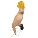 10" COCKATOO FEATHERED WHITE W/YELLOW COMB