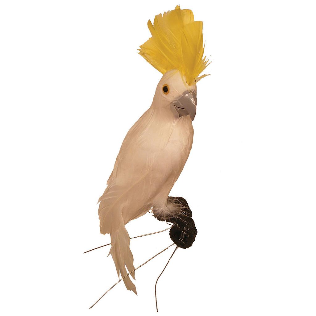[B810WH-I] 10" FEATHER COCKATOO WHITE W/YELLOW COMB (INDIVIDUAL)