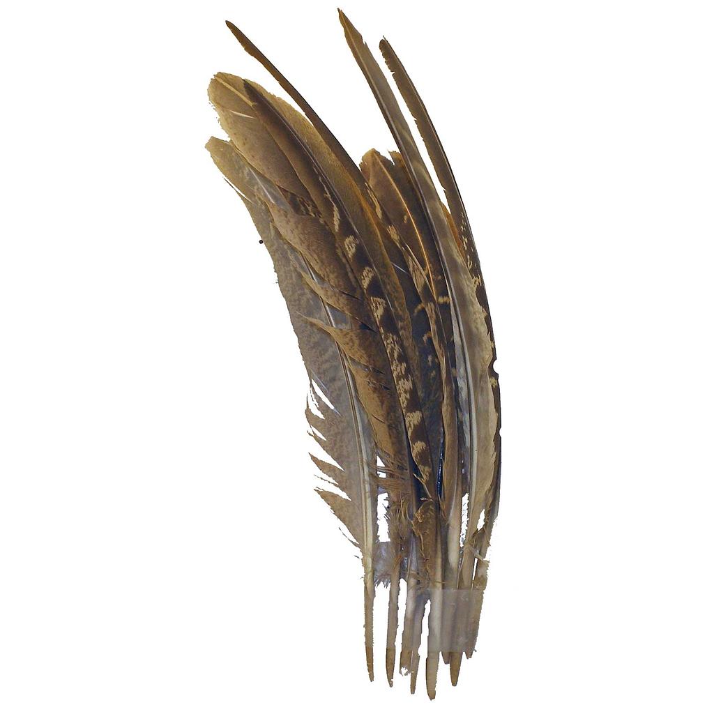 FEATHERS 7.5" NATURAL BROWN