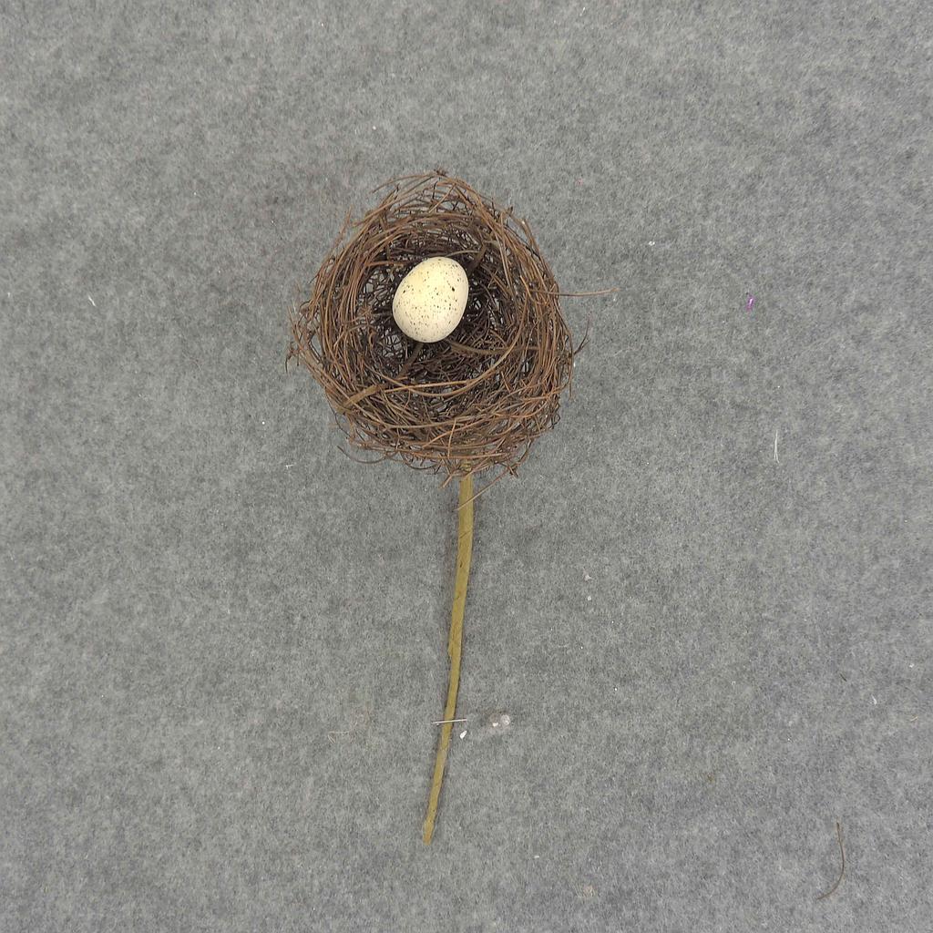 NEST 3" NAT TWIG  W/EGG & PIC