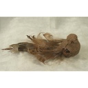 BIRD BURLAP/FEATHER 6" NATURAL  W/CLIP