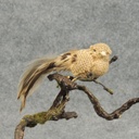 5" BIRD BURLAP/FEATHER NATURAL W/PICK 9"