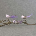5.5" MUSH/FEA BIRD W/CURLY TAIL W/CLIP 3-PURPLE