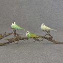 4" MUSH/FEA BIRD W/CLIP 3 ASST  GREEN