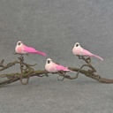 4" MUSH/FEA BIRD W/CLIP 3 ASST  PINK