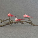 4" MUSH/FEA BIRD W/CLIP 3 ASST  RED