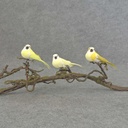 4" MUSH/FEA BIRD W/CLIP 3 ASST  YELLOW