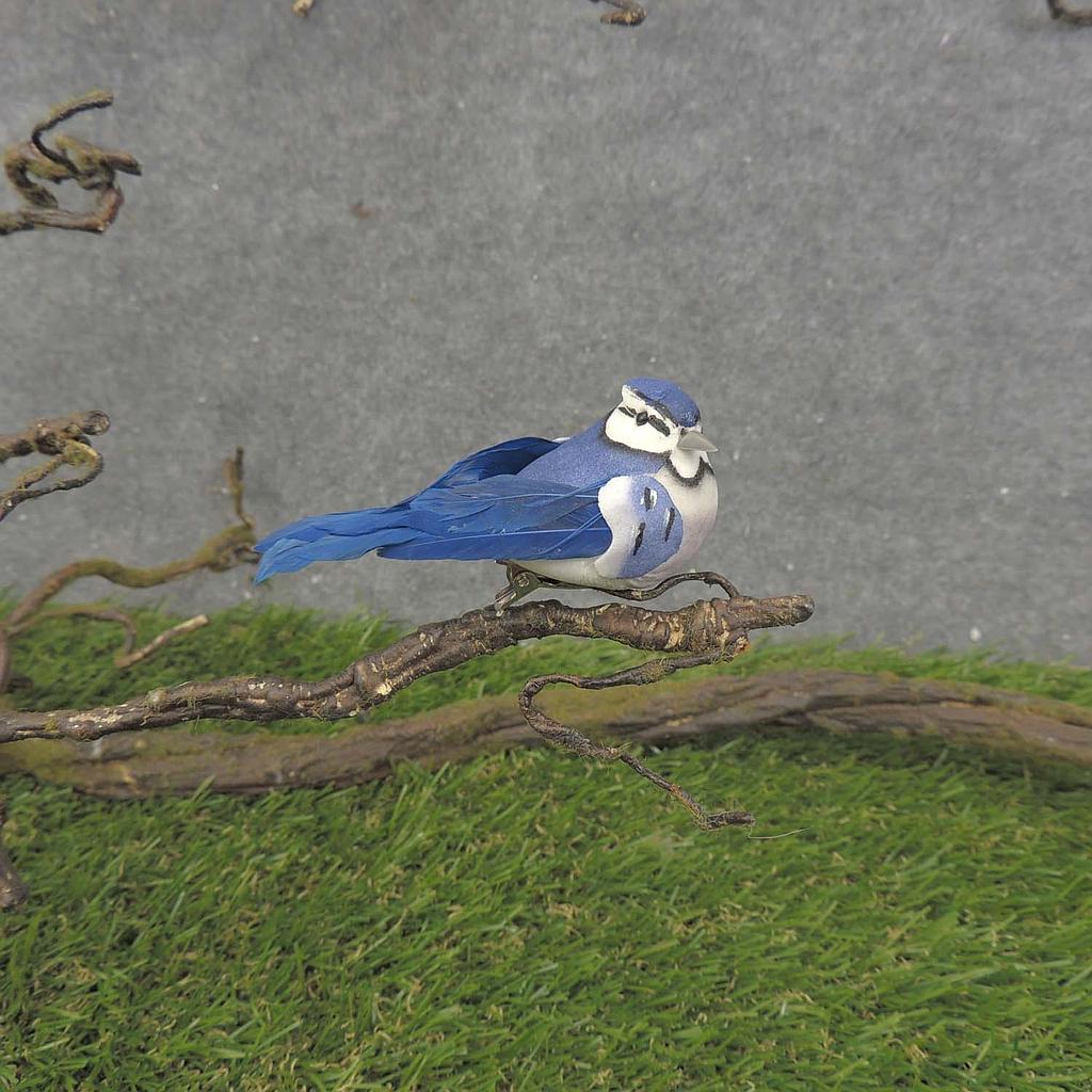 [BN7004] 3.25" BLUEJAY SITTING MUSH/FEA W/CLIP