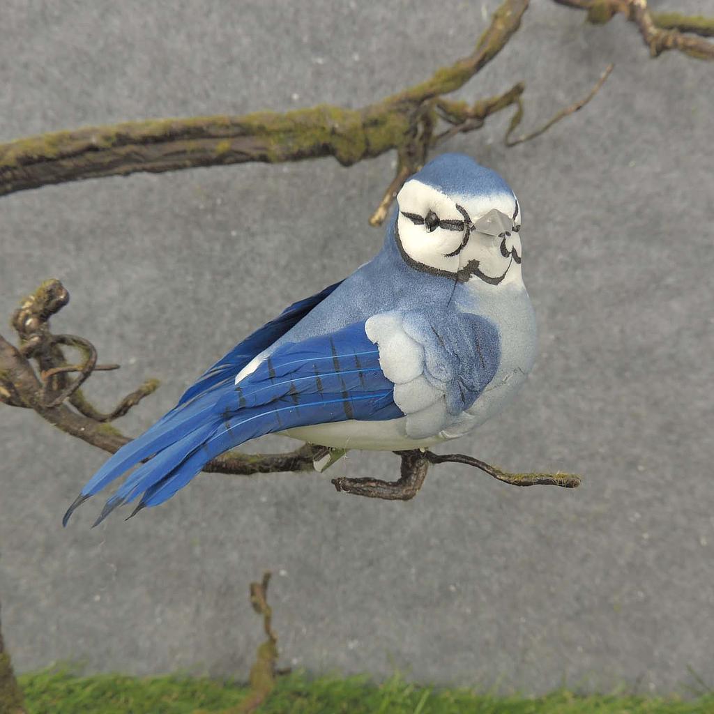 [BN7008] 4.5" BLUEJAY MUSH/FEA W/CLIP