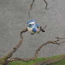 3" BLUEJAY MUSH/FEA SITTING W/CLIP