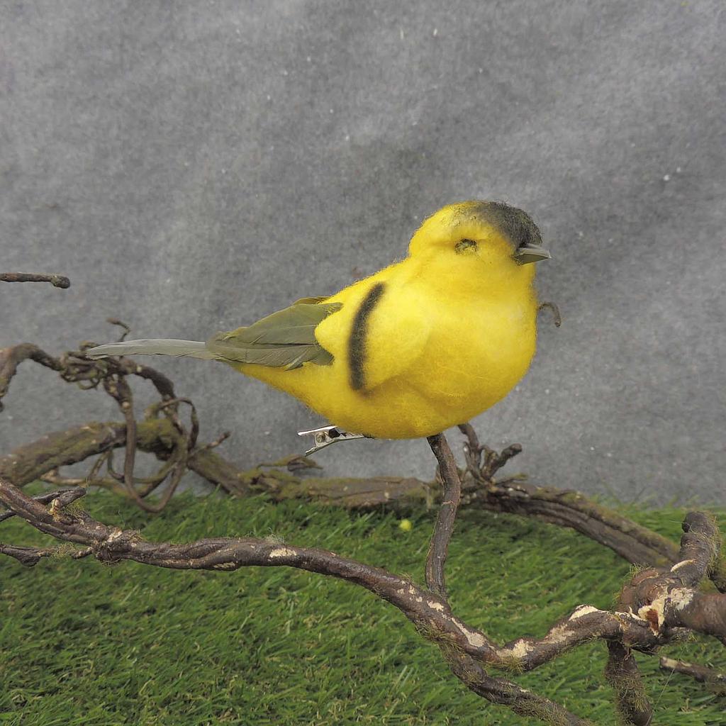 [BN7026] 5.5" GOLDFINCH COTTON/FEATHER W/CLIP