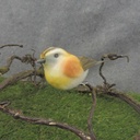 4" BIRD COTTON/FEATHER W/CLIP GOLD/YELLOW