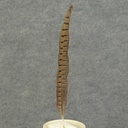 FEATHERS PHEASANT 12"-14"  (12 PC BAG)