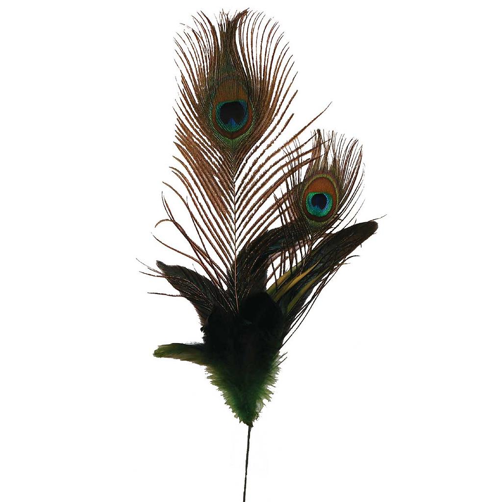 22" FEA SPRAY w/2 PEACOCK EYES (6 PC/BG)