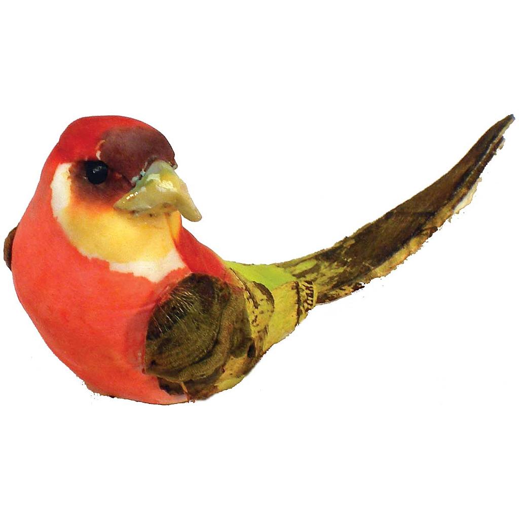 [BM112] 5" PARROT MUSHRM RED & GREEN