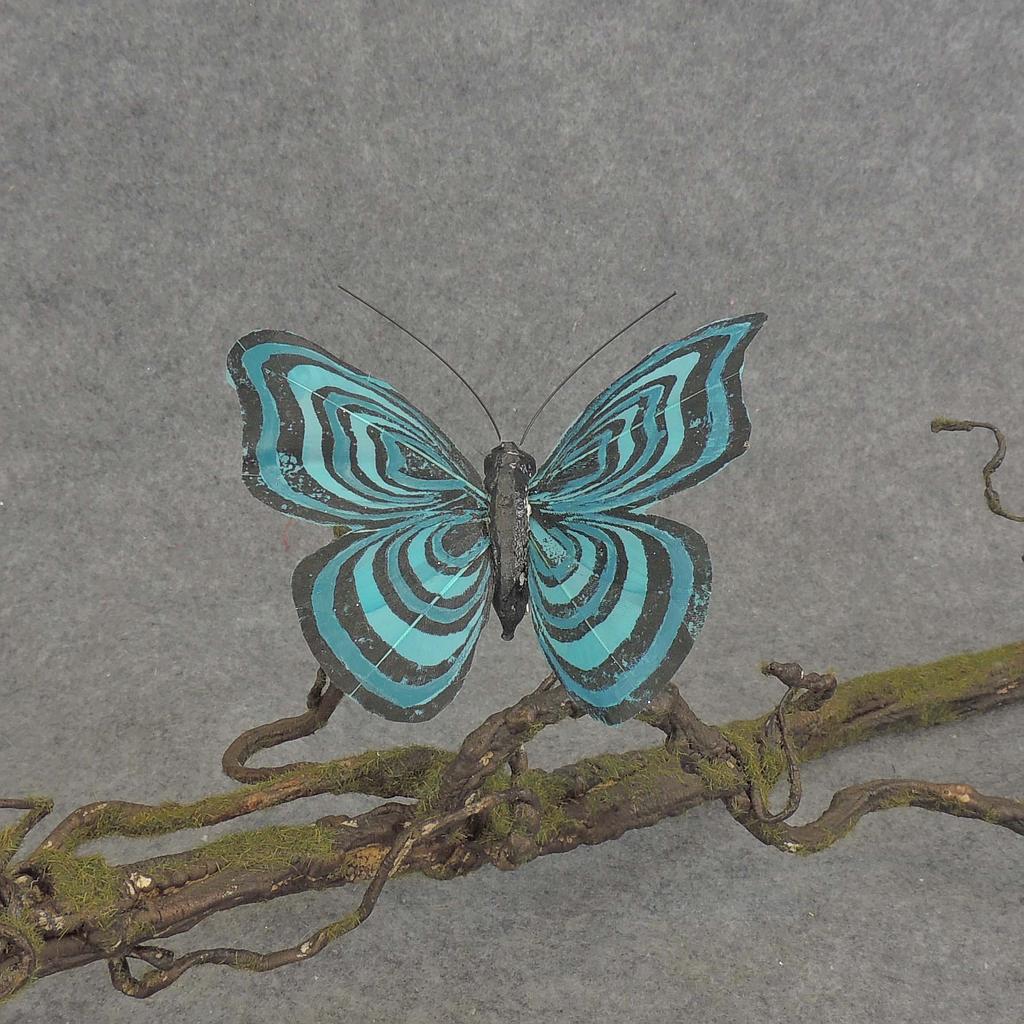 BUTTERFLY W/CLIP  4" BLACK/TURQUOISE