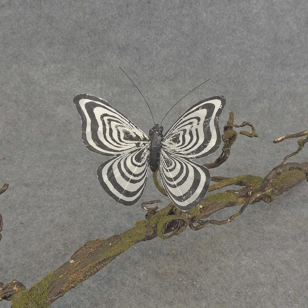 BUTTERFLY W/CLIP  4&quot; BLACK/WHITE