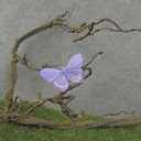 3" BUTTERFLY LAVENDER FEATHER W/CLIP