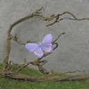 BUTTERFLY 3" LAVENDER FEATHER W/CLIP