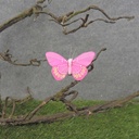 3" BUTTERFLY PINK FEATHER W/CLIP