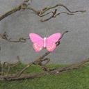BUTTERFLY 3&quot; PINK FEATHER W/CLIP