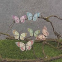 BUTTERFLY 3.5" 2-TONE MONARCH 6/AST (CLIP) FEAT