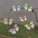 3.5" BUTTERFLY PASTEL 6/AST ON CLIP (FEATHER)