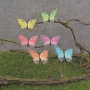BUTTERFLY 3.5&quot; SPIRAL  6/AST ON WIRE (FEATHER)
