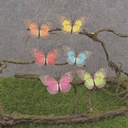 3" BUTTERFLY 6/AST PRIMARY ON WIRE (FEATHER)