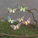 BUTTERFLY 3.5" 6/AST W/CLIP YELLOW CTR (FEATH