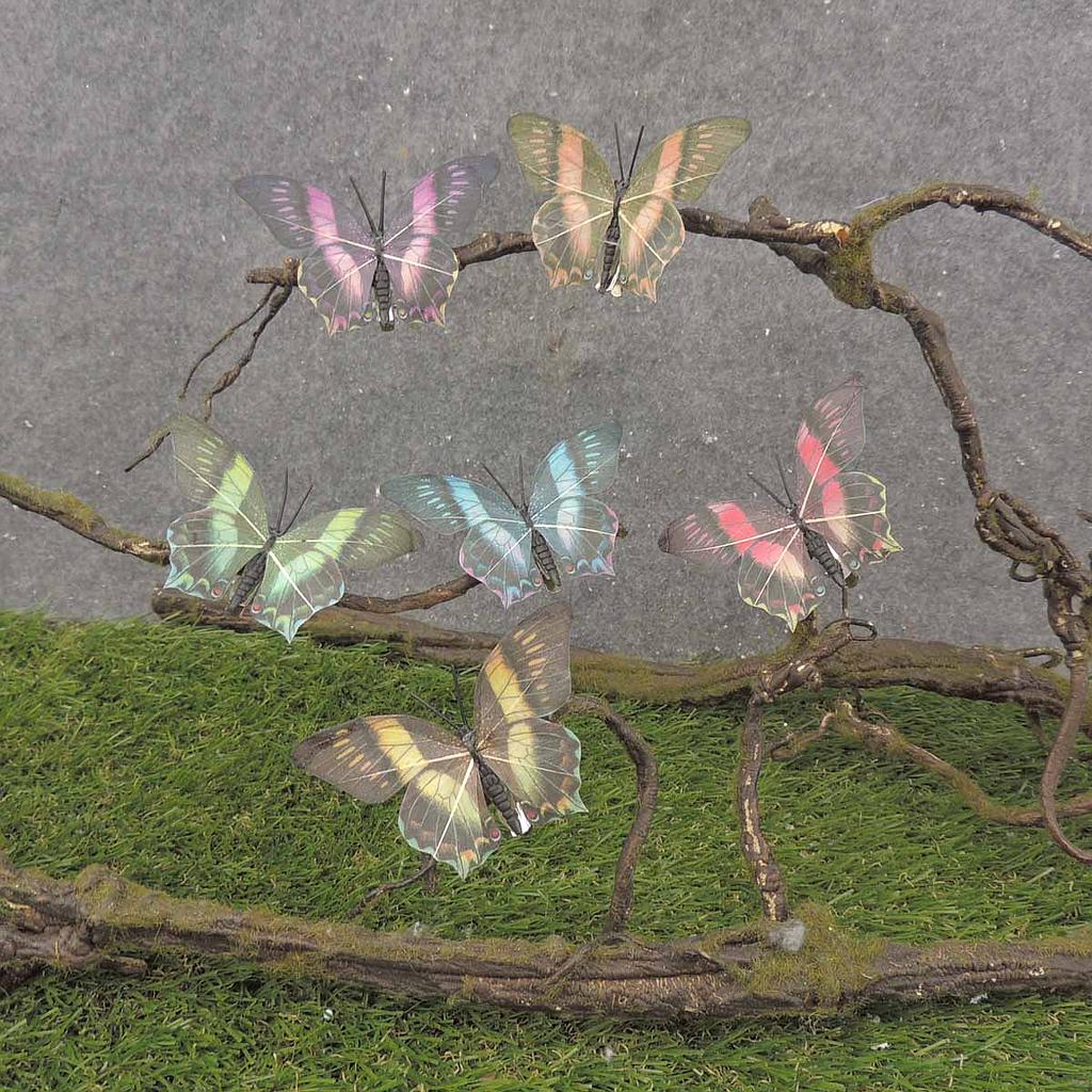 BUTTERFLY 3.5" BLACK TIPS 6/AST W/CLIP (FEATHER)