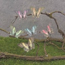 BUTTERFLY 3.5" BLACK TIPS 6/AST W/CLIP (FEATHER)