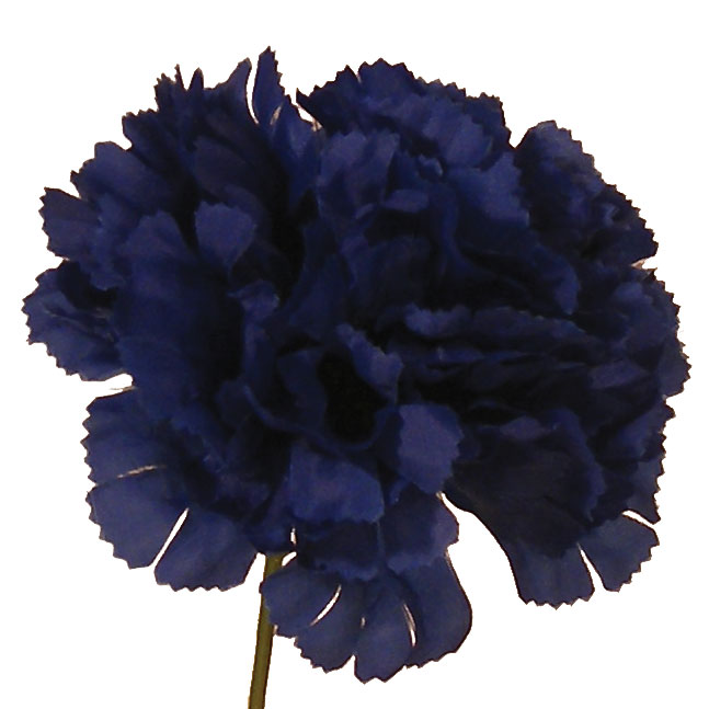 CARNATION PICK LARGE ROYAL (100/BOX)