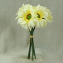 GERBERA LARGE 10.5" BUNDLE X6  CREAM