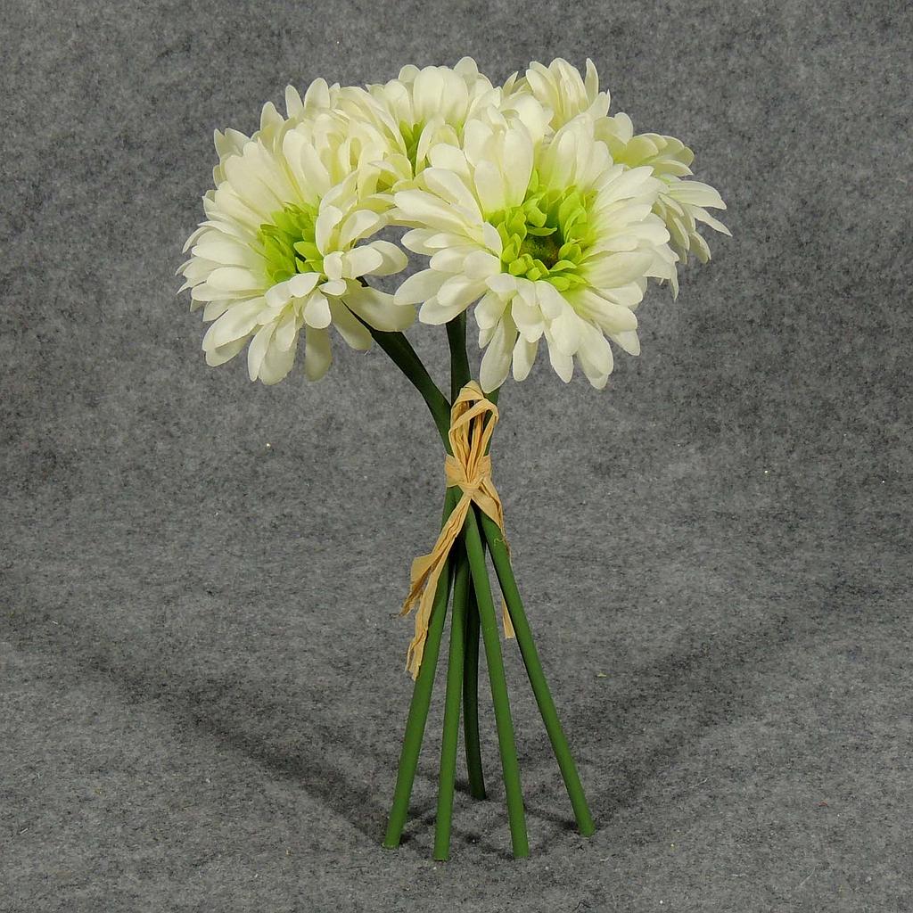 GERBERA MEDIUM 10.5" BUNDLE X6  CREAM/GREEN