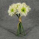 GERBERA MEDIUM 10.5" BUNDLE X6  CREAM/GREEN