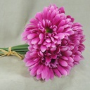 GERBERA MEDIUM 10.5&quot; BUNDLE X6  FUCHSIA