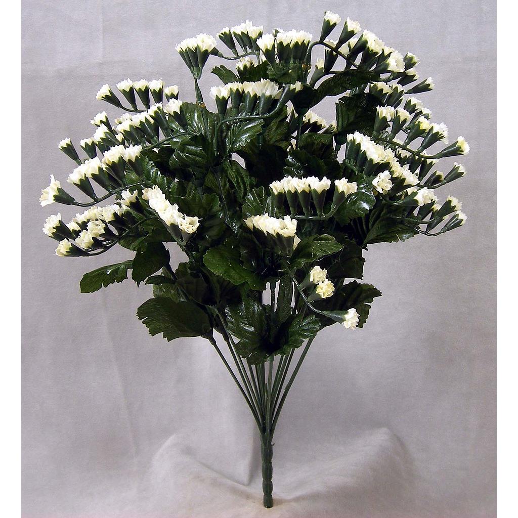STATICE BUSH X 14   CREAM