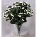 STATICE BUSH X 14   CREAM