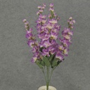DELPHINUM BUSH X5 PURPLE