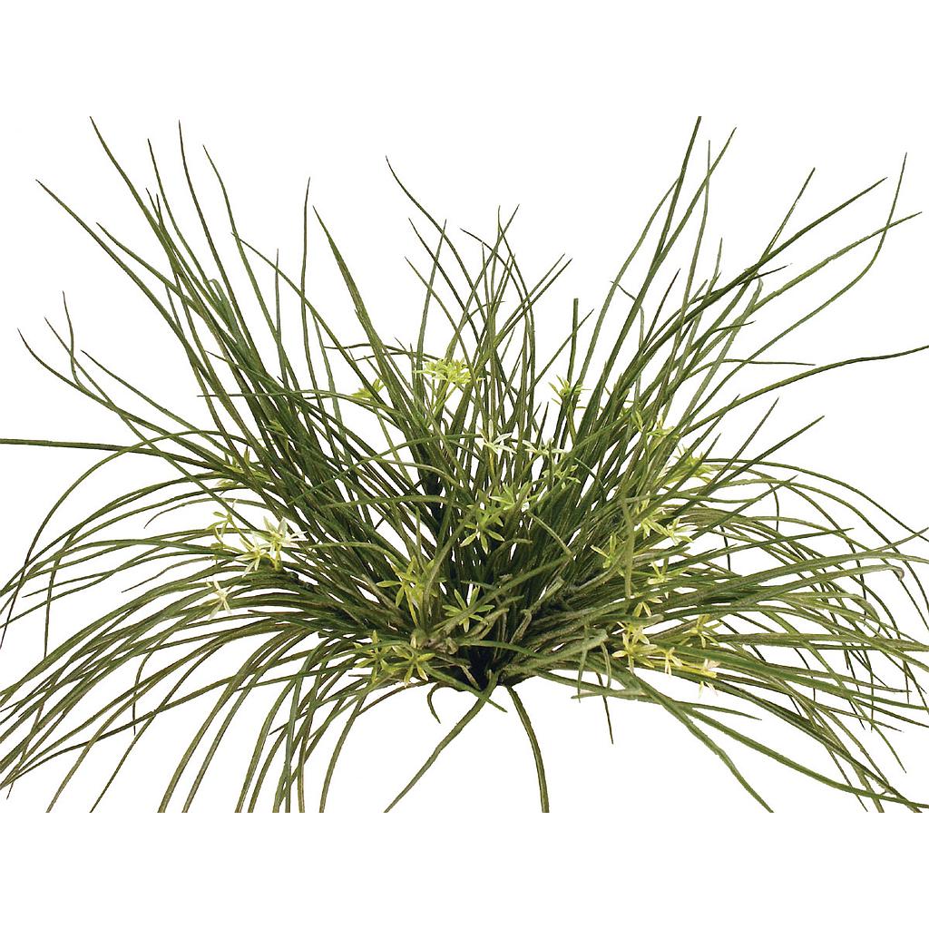 [S116918] GRASS BUSH X9 GYPSO FLOCKED