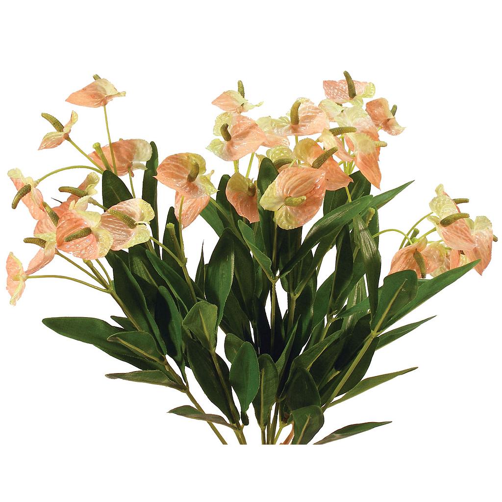 15" ANTHURIUM MINI BUSH X12 PCH/GRN x35 BLM