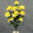 DAFFODIL BUSH X 14  YELLOW