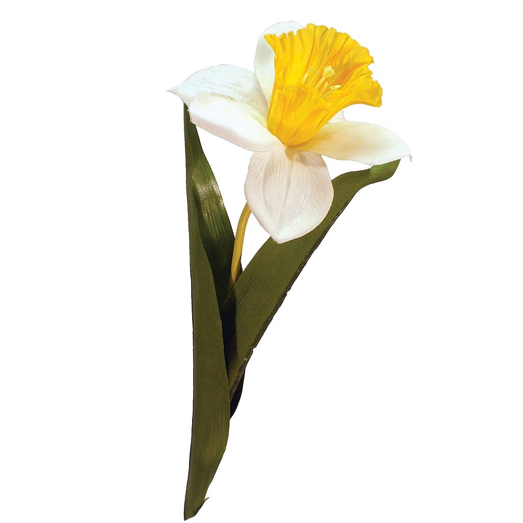 20" DAFFODIL SPRAY X 1 WHT/YEL (6 PC BAG)