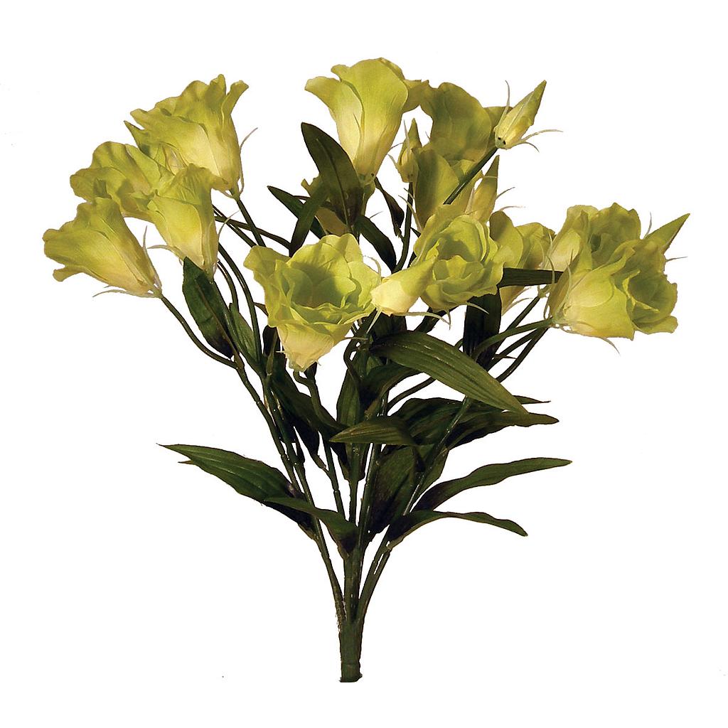 LISIANTHUS 20" GREEN BUSH X9