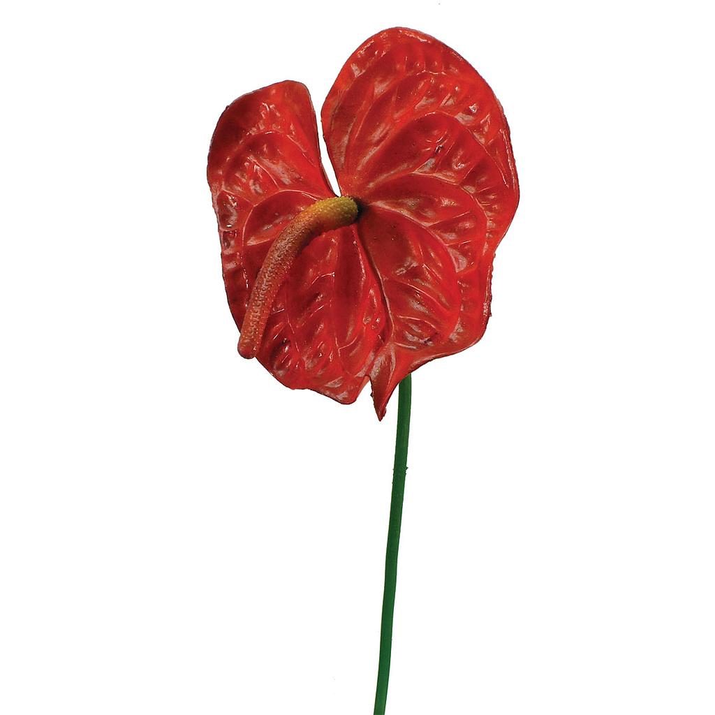 [S44007] 25" ANTHURIUM SMALL SPRAY 5" BM