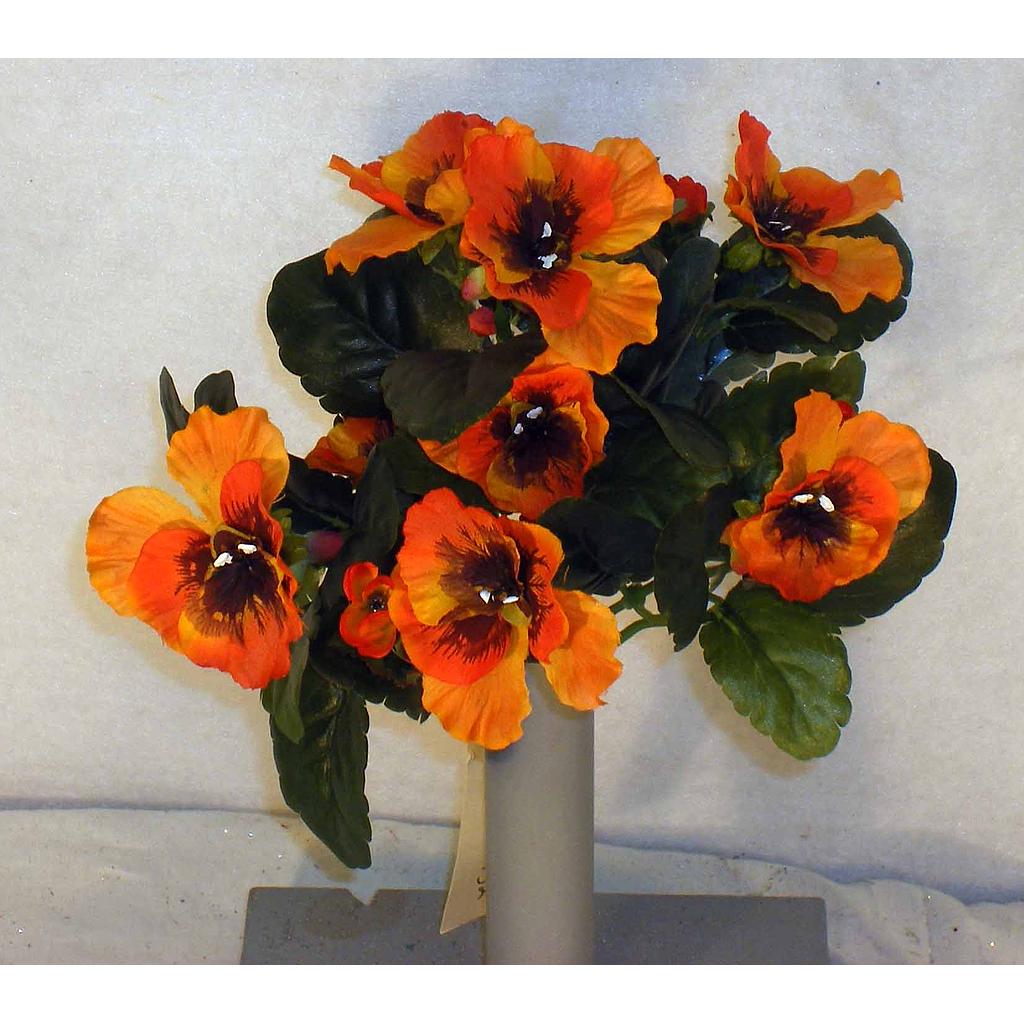 PANSY BUSH 9" GARDEN - ORANGE