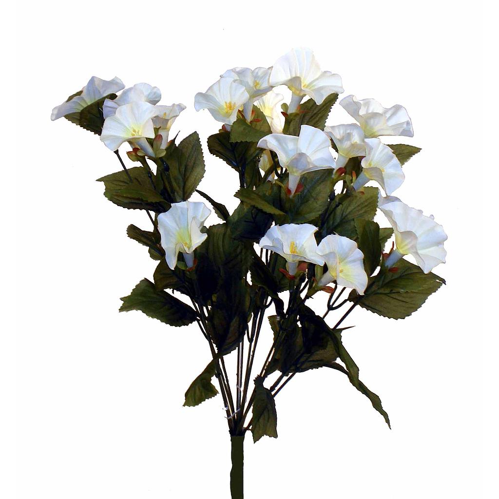 PETUNIA BUSH X14 CREAM/WHITE